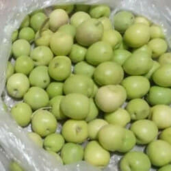 زيتون تفاحي 1كيلو- شحن 13 أغسطس