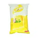 lion_gebna_metabela
