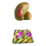 صديقة 6ك + جولك 3ك--  شحن 2 يوليو